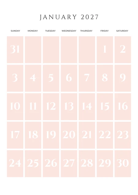 January monthly planner from 2027 Planner